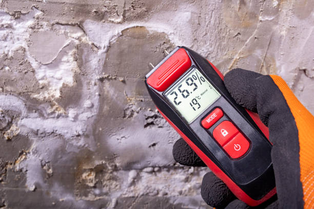 Best Best Mold Removal Companies  in Osceola, IN