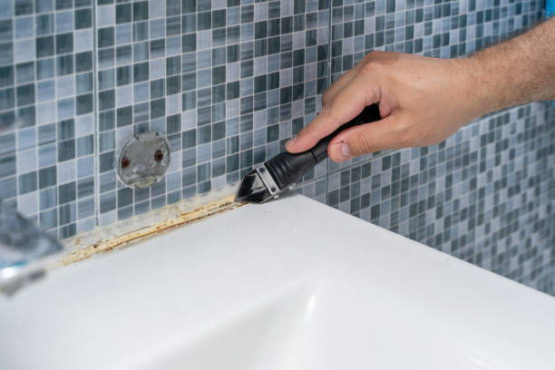 Best Mold Testing  in Osceola, IN